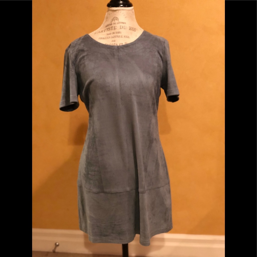 Blue Utra-suede Dress